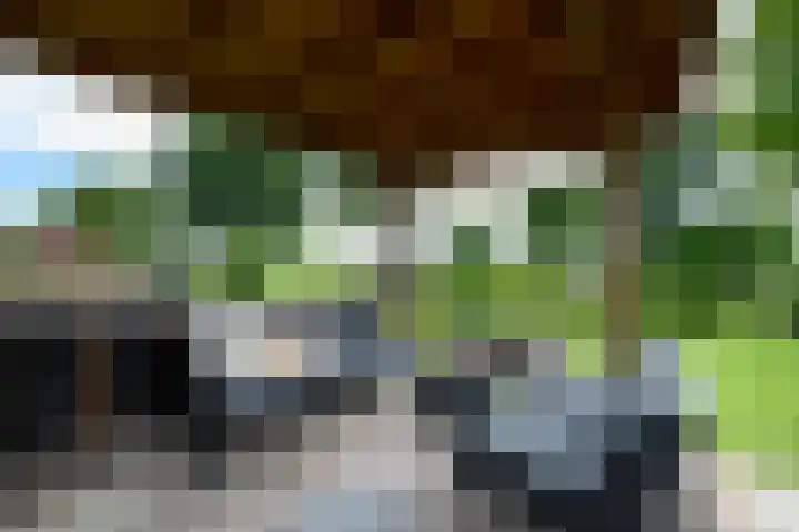 Lepeltjesheide 93 Wolvega thumbnail 40