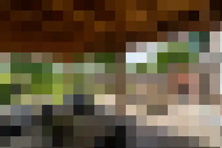 Lepeltjesheide 93 Wolvega thumbnail 41