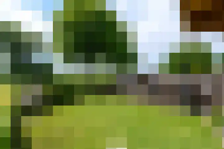 Lepeltjesheide 93 Wolvega thumbnail 42