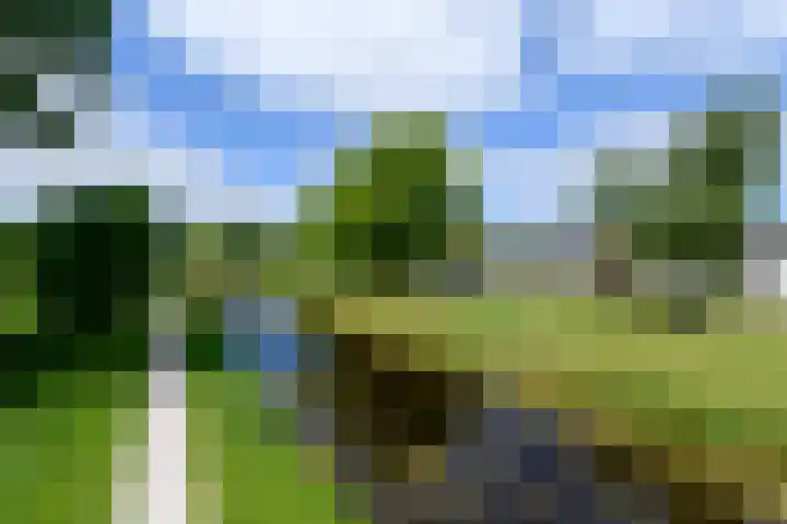 Lepeltjesheide 93 Wolvega thumbnail 43