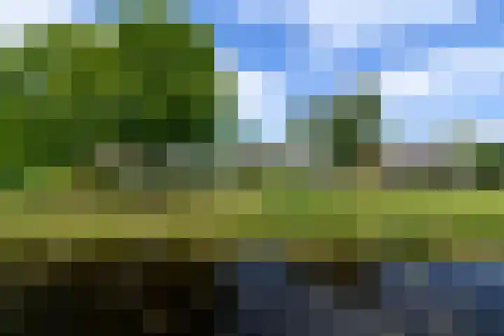 Lepeltjesheide 93 Wolvega thumbnail 44