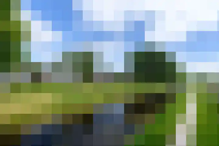 Lepeltjesheide 93 Wolvega thumbnail 45