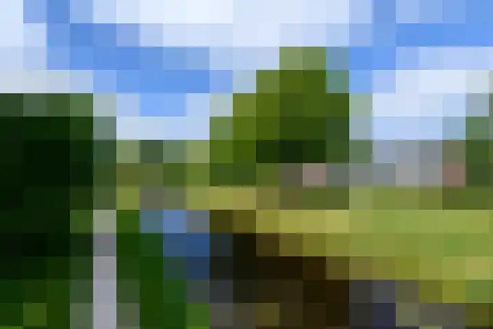 Lepeltjesheide 93 Wolvega thumbnail 46