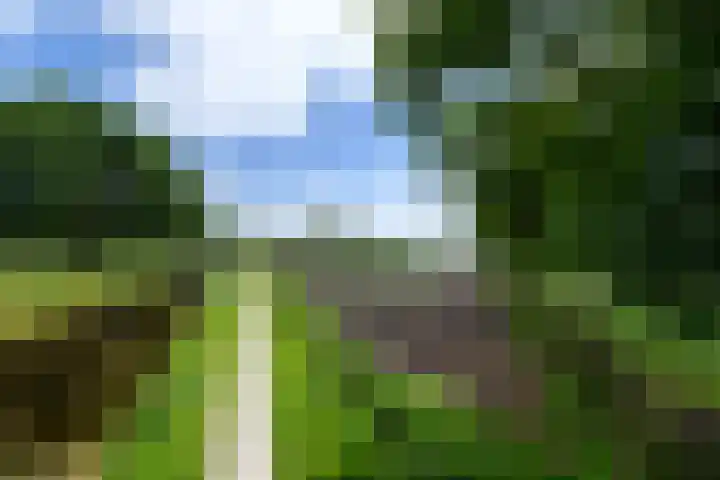 Lepeltjesheide 93 Wolvega thumbnail 47