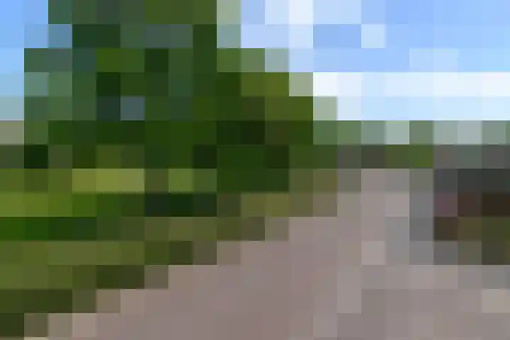 Lepeltjesheide 93 Wolvega thumbnail 49