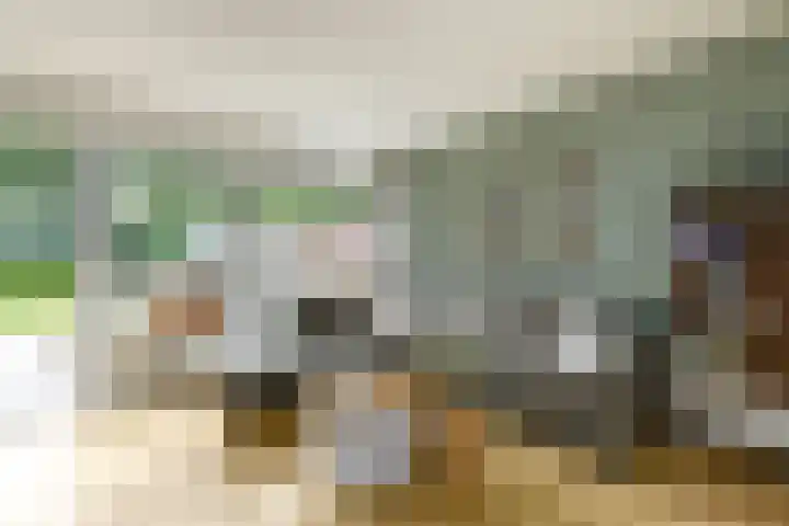 Lepeltjesheide 93 Wolvega thumbnail 5