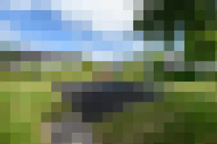 Lepeltjesheide 93 Wolvega thumbnail 53