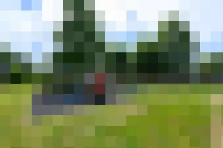 Lepeltjesheide 93 Wolvega thumbnail 54