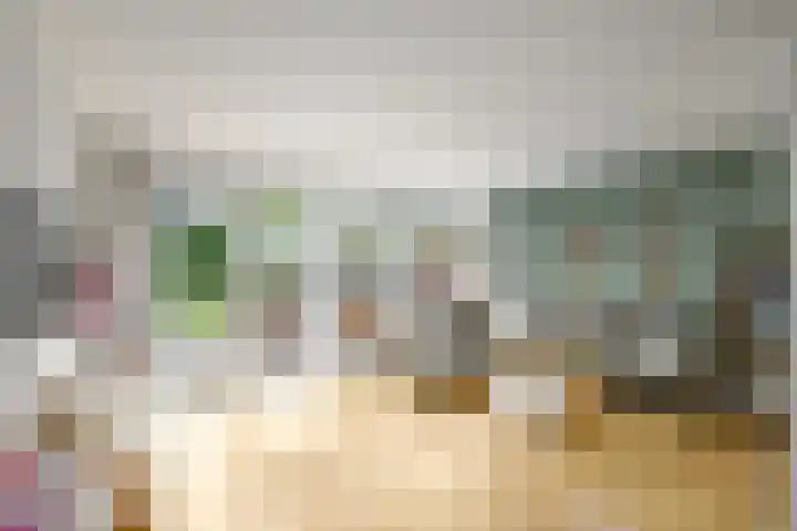 Lepeltjesheide 93 Wolvega thumbnail 6