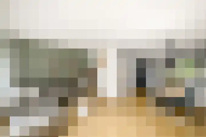 Lepeltjesheide 93 Wolvega thumbnail 7