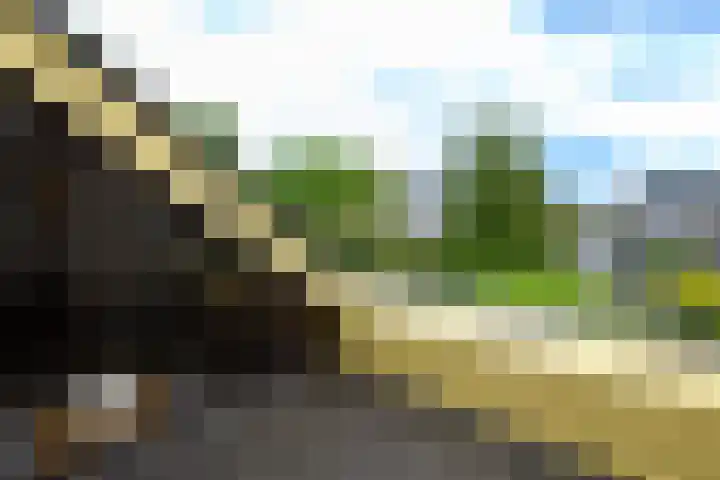 Leppa 125 Drachten thumbnail 21