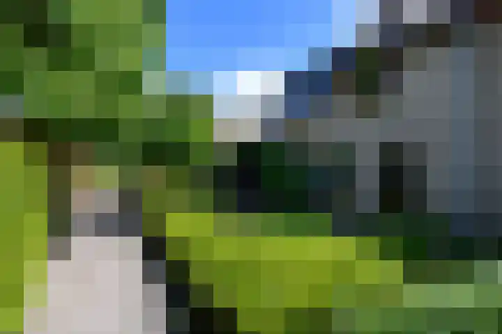 Leppa 125 Drachten thumbnail 37