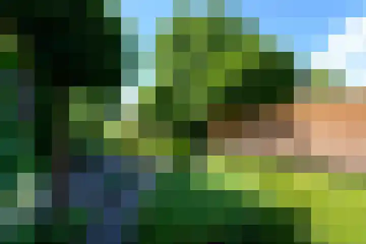 Leppa 125 Drachten thumbnail 38