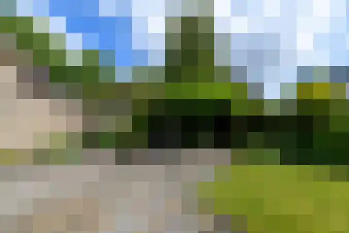 Leppa 125 Drachten thumbnail 44