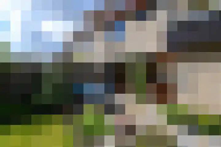 Leppa 125 Drachten thumbnail 45