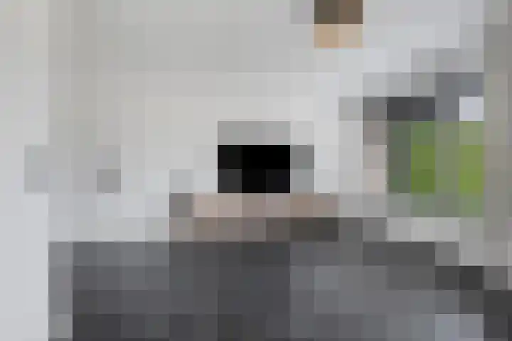 Leppa 139 a Drachten thumbnail 17
