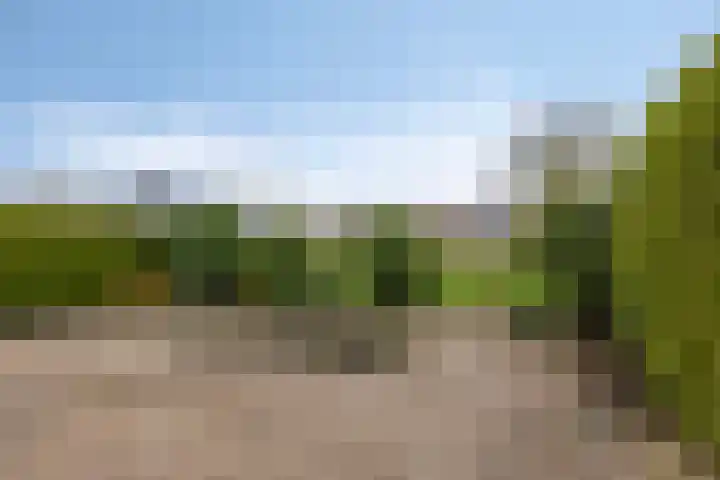 Leppa 139 a Drachten thumbnail 37