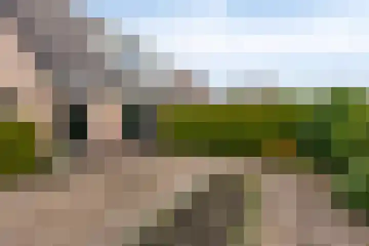 Leppa 139 a Drachten thumbnail 5
