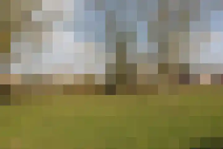 Leppa 139 a Drachten thumbnail 6