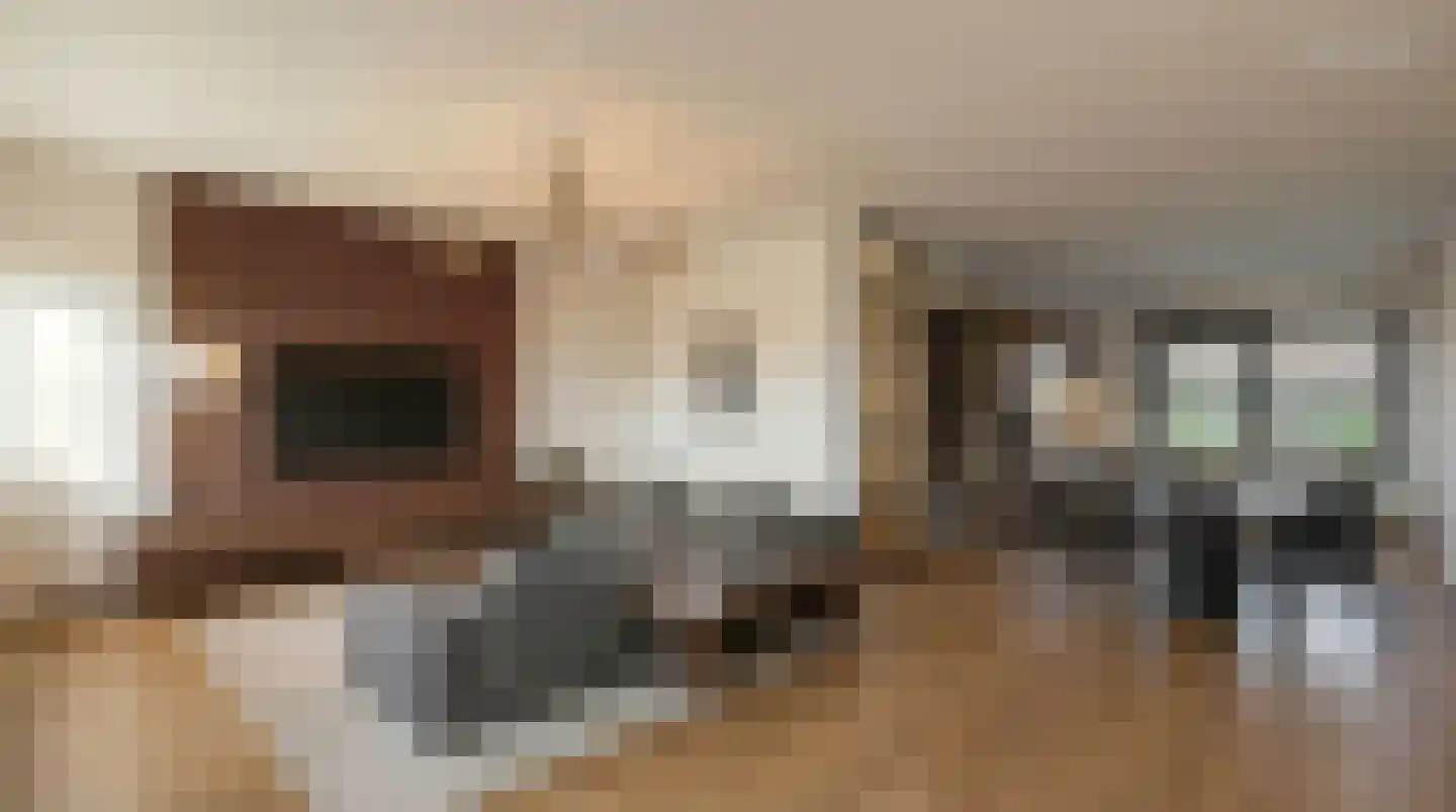 Leppa 3 Drachten thumbnail 8