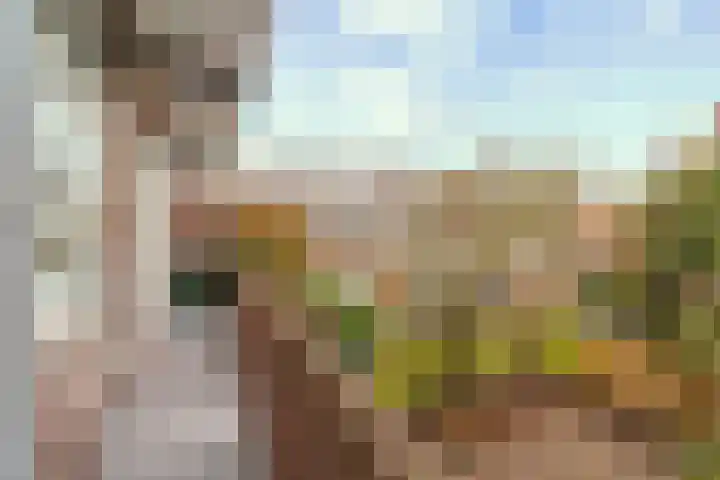 Leppa 58 Drachten thumbnail 12