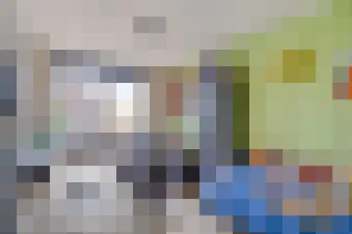 Leppa 58 Drachten thumbnail 24