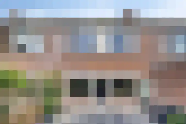Leppa 58 Drachten thumbnail 30
