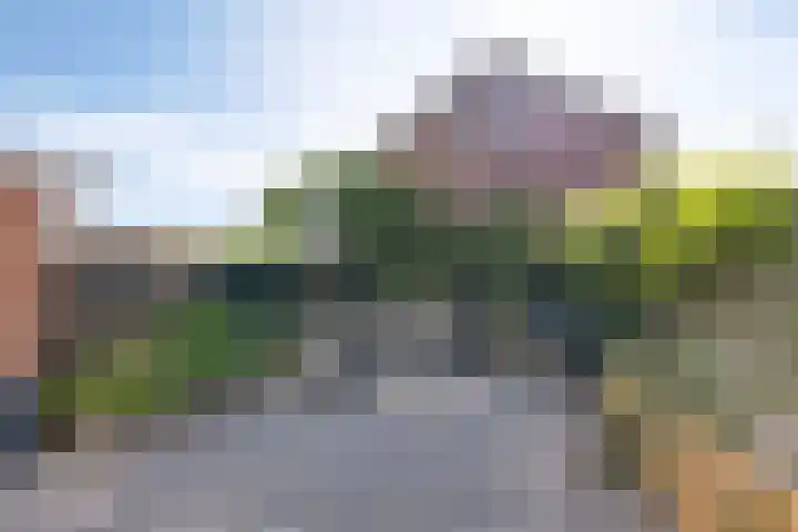 Leppa 58 Drachten thumbnail 31