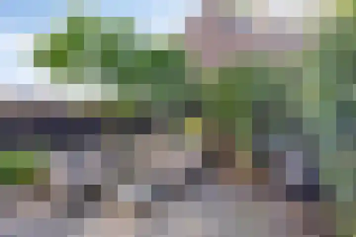 Leppa 58 Drachten thumbnail 32