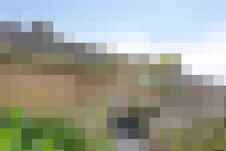 Leppa 58 Drachten thumbnail 33