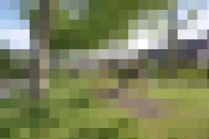 Leppa 58 Drachten thumbnail 35