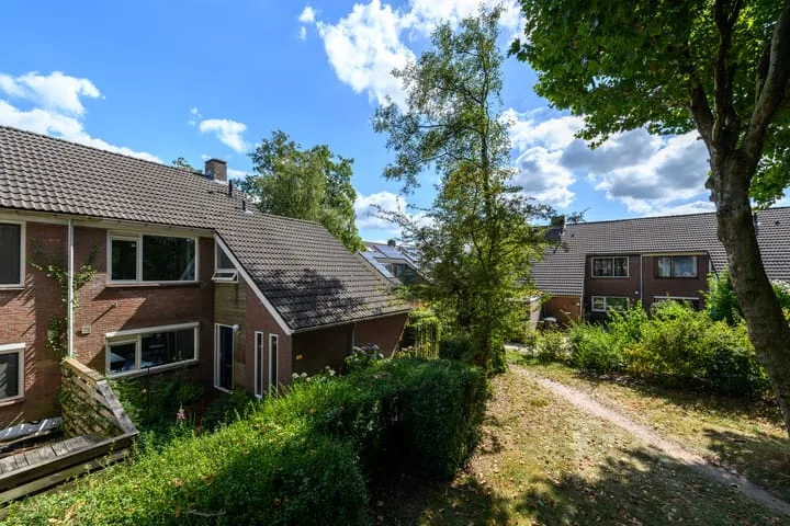 Leppa 60 Drachten foto 3