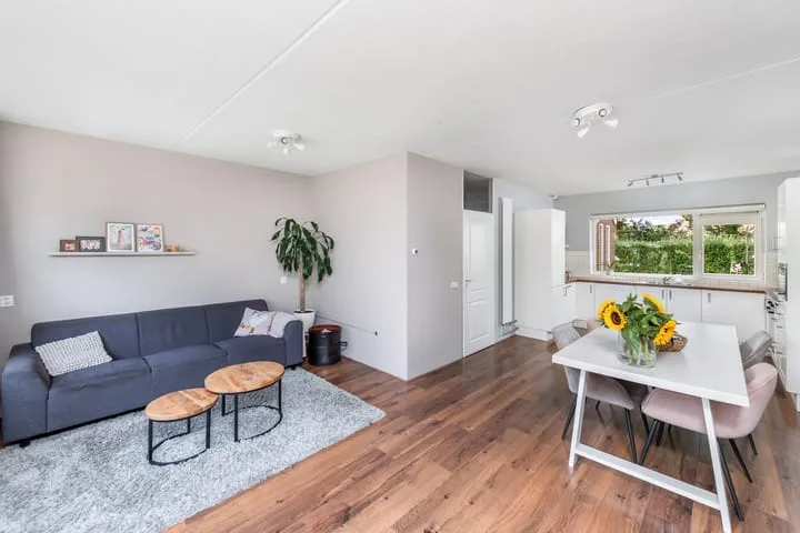 Leppa 60 Drachten thumbnail 5