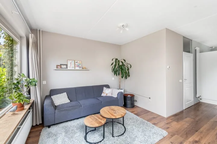 Leppa 60 Drachten thumbnail 8
