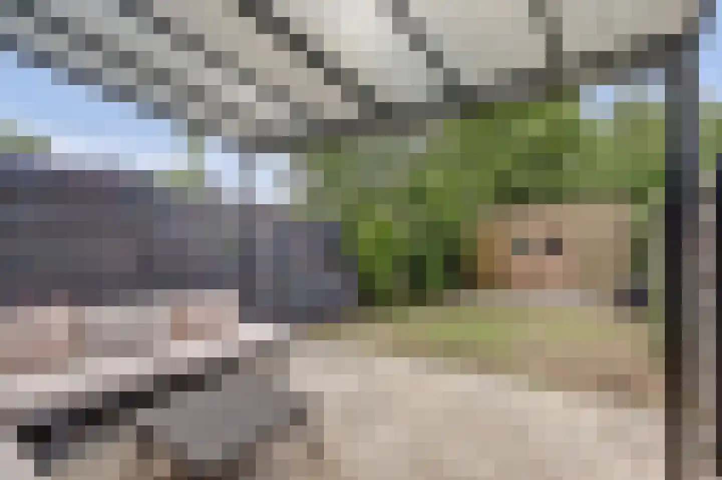 Leppedijk 21 Rotterdam thumbnail 4
