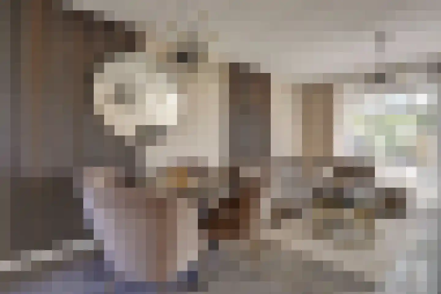 Leppedijk 21 Rotterdam thumbnail 7