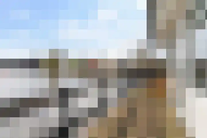 Leppedyk 1005 Grou thumbnail 28
