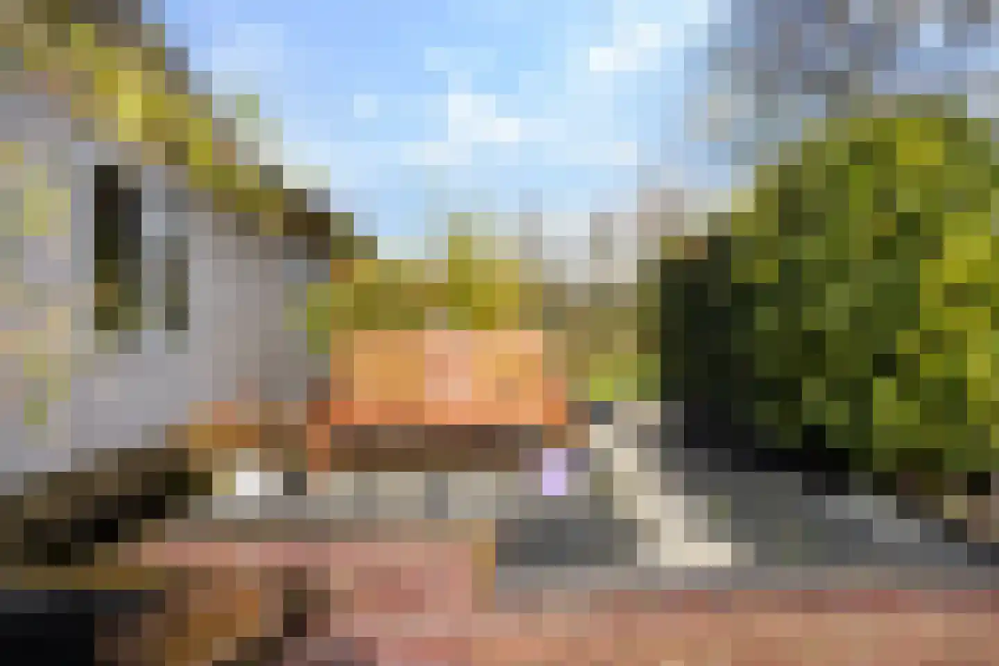 Leppedyk 1005 Grou thumbnail 38