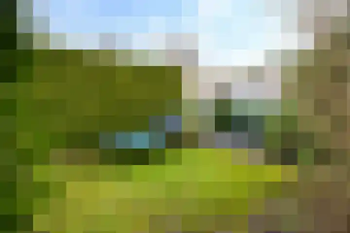 Leppedyk 1005 Grou thumbnail 39