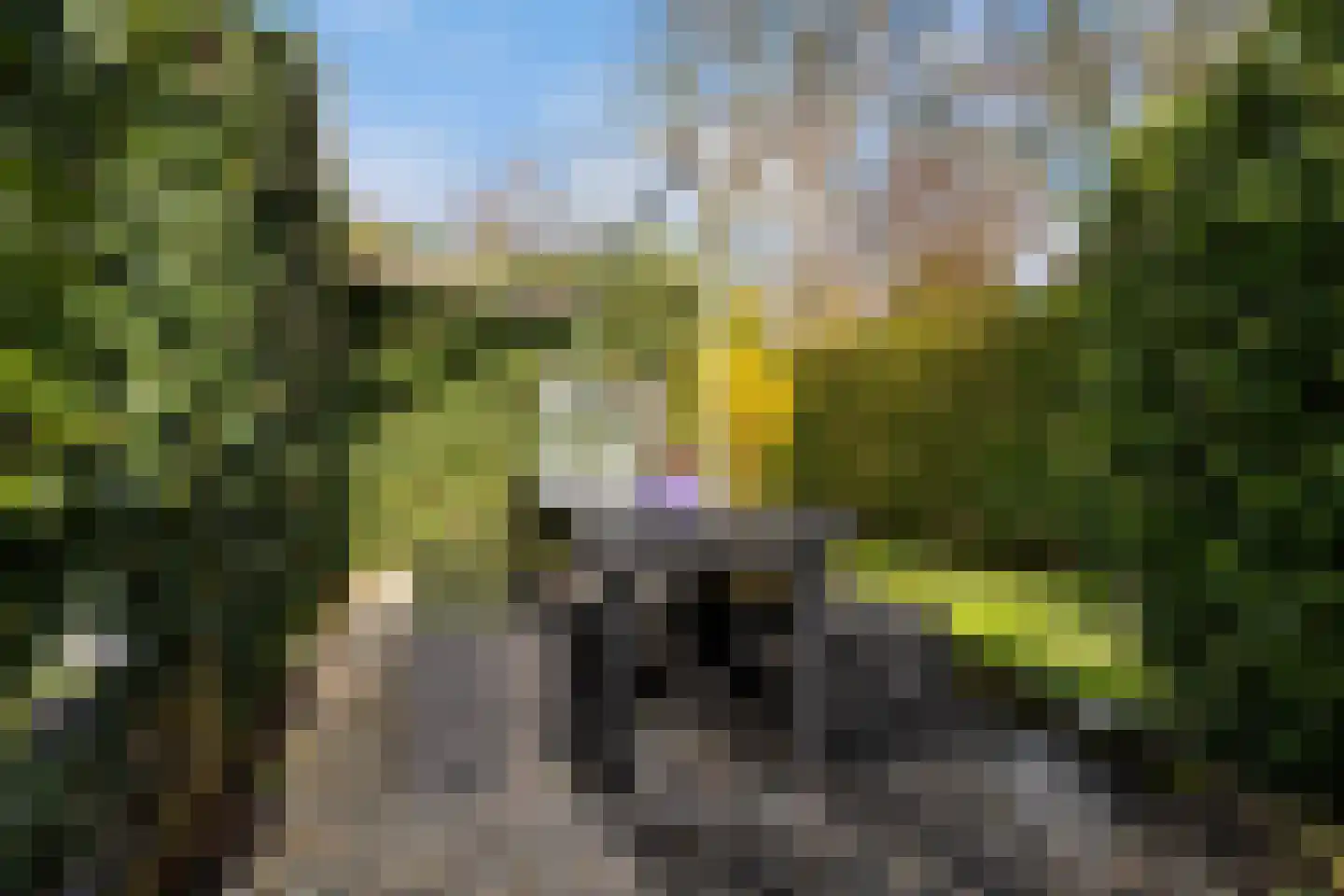 Leppedyk 1005 Grou thumbnail 41