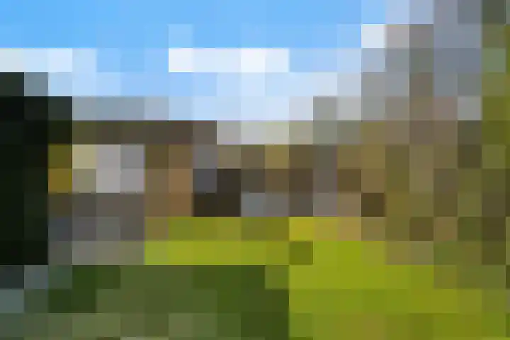 Leppedyk 1005 Grou thumbnail 42