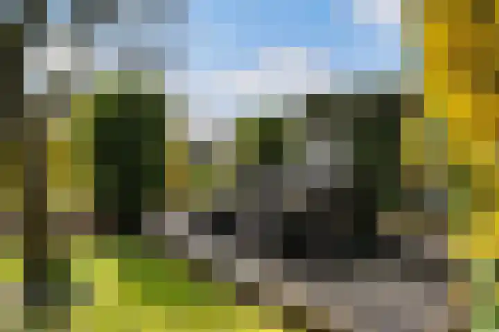 Leppedyk 1005 Grou thumbnail 43