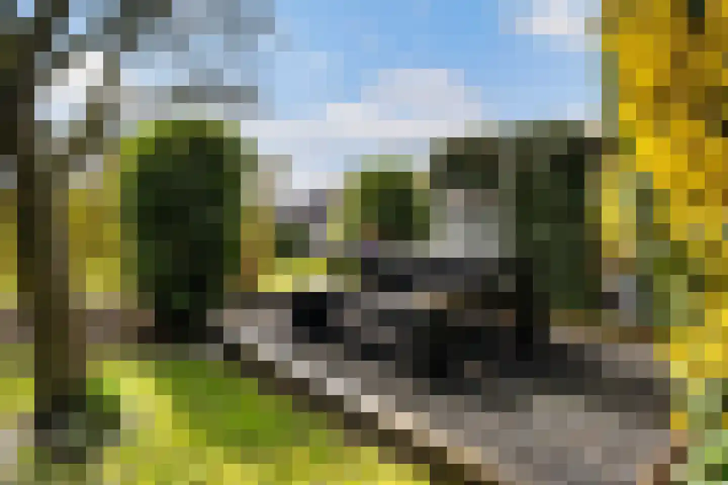 Leppedyk 1005 Grou thumbnail 43
