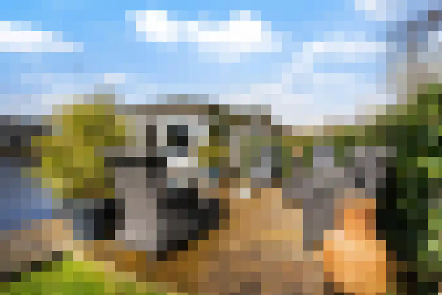 Leppedyk 1005 Grou thumbnail 44