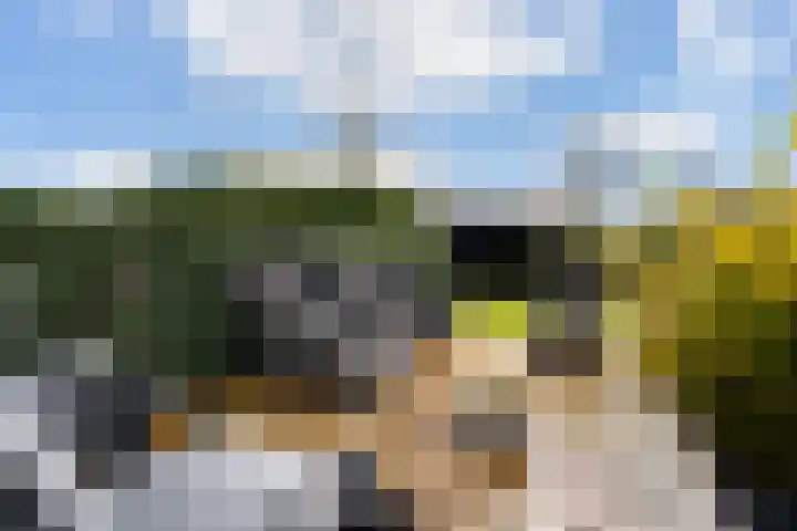 Leppedyk 1005 Grou thumbnail 45