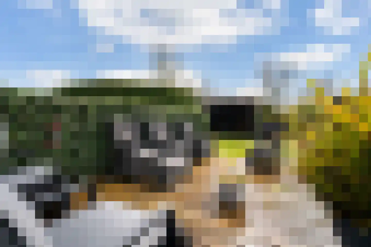 Leppedyk 1005 Grou thumbnail 45
