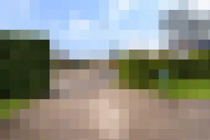 Leppedyk 1005 Grou thumbnail 47