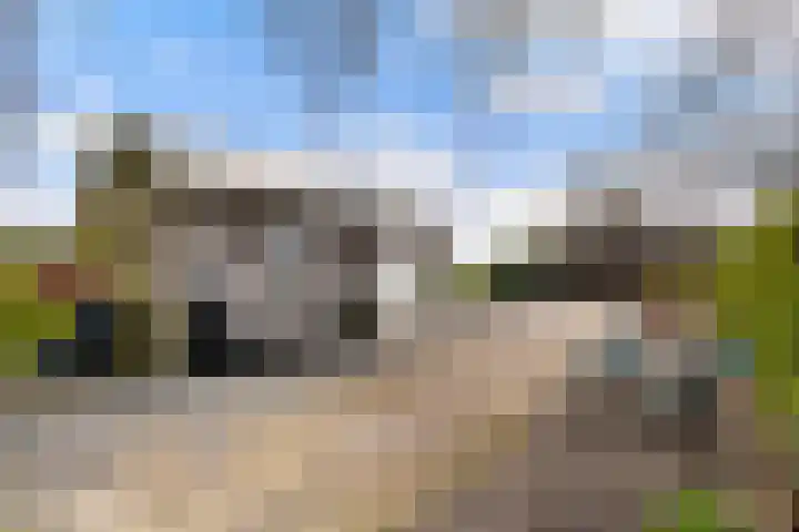 Leppedyk 1005 Grou thumbnail 50