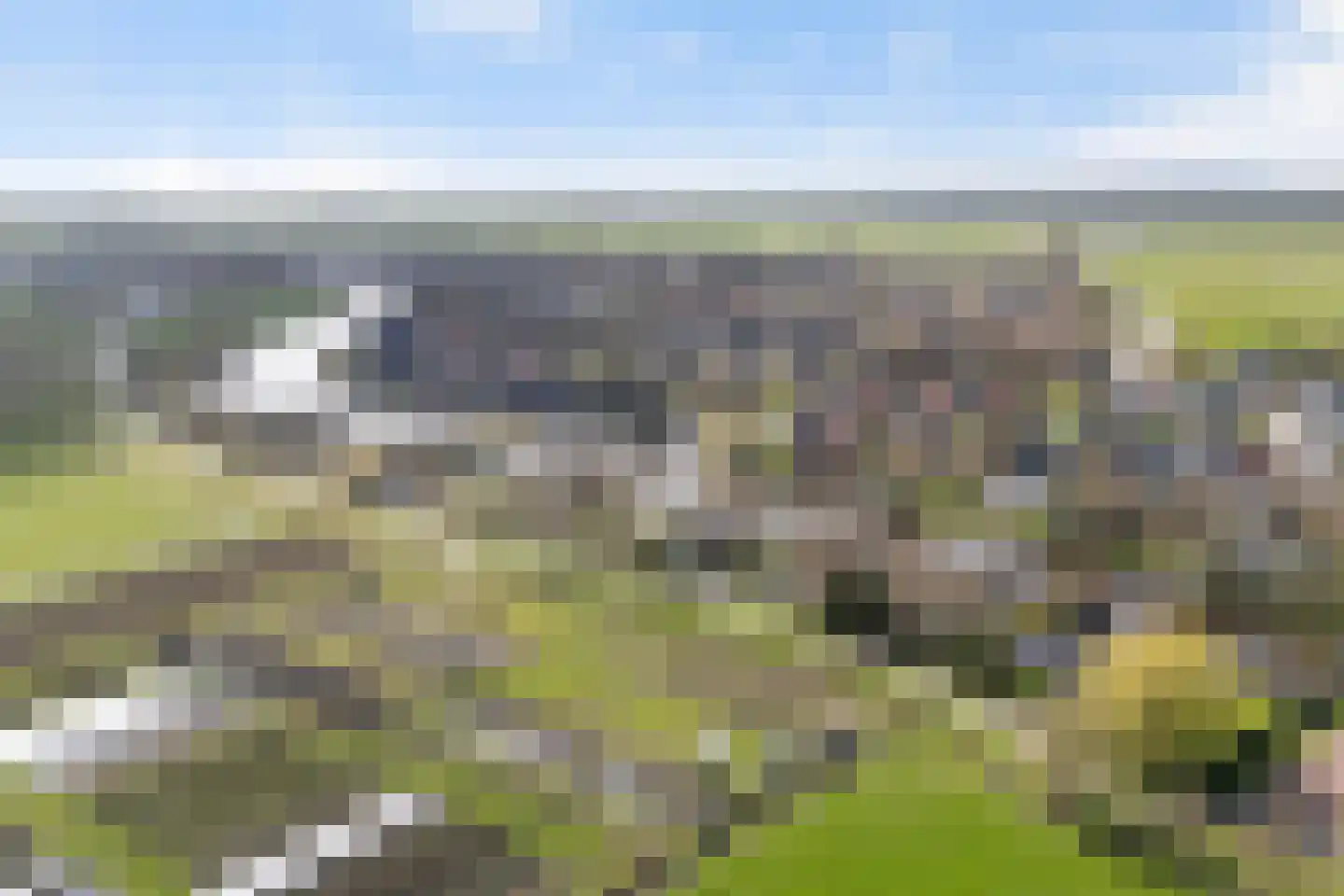 Leppedyk 1005 Grou thumbnail 56