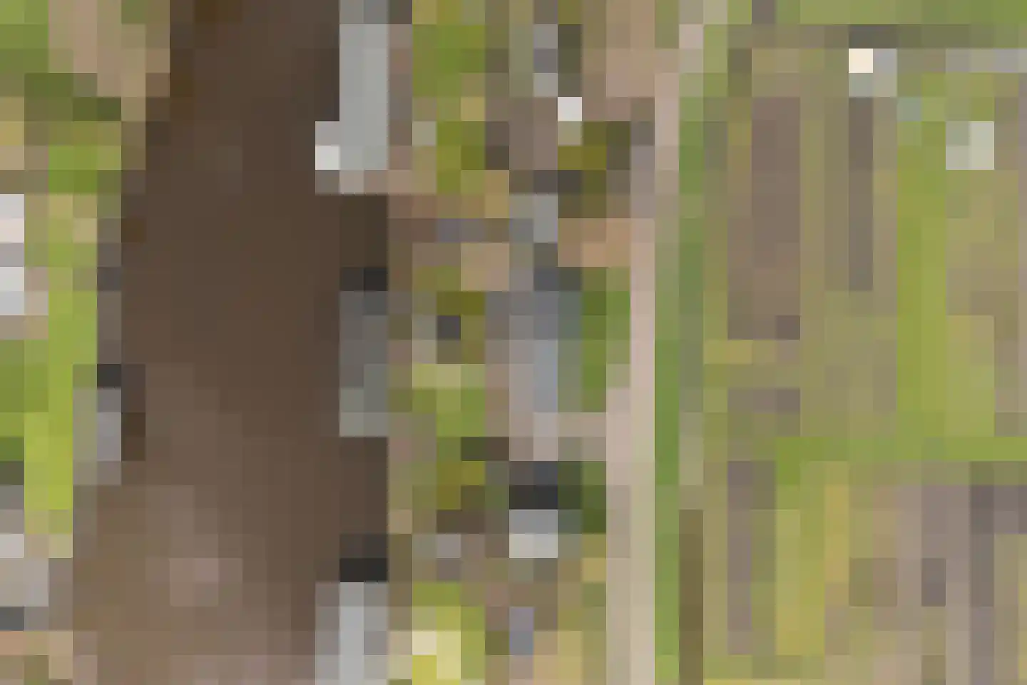 Leppedyk 1005 Grou thumbnail 57